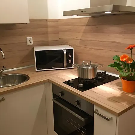 Hotel Hotel Karlin House Praga